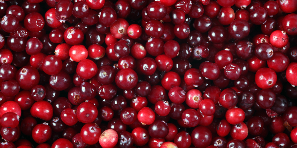 Cranberries and Womens' Well-Being - Everything You Need to Know