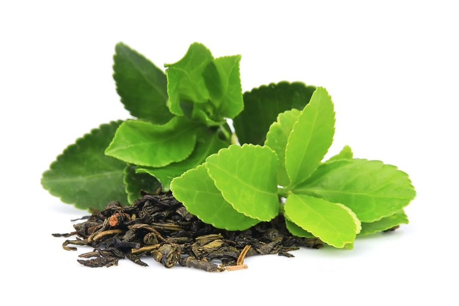 Expert Opinion: L-theanine and Alcohol - Everything You Need To Know
