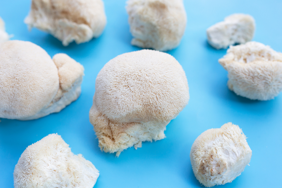 Lion's Mane Mushroom Health & Wellbeing Benefits, Uses, and Useful Information