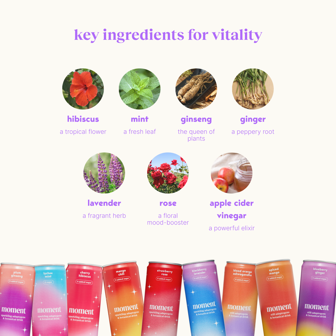 The Moment Collection (sparkling & still | 18 pack)