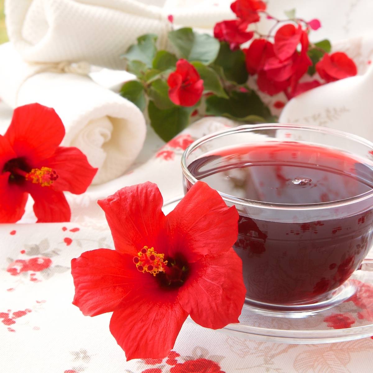 7 Major Health Benefits of Hibiscus Tea