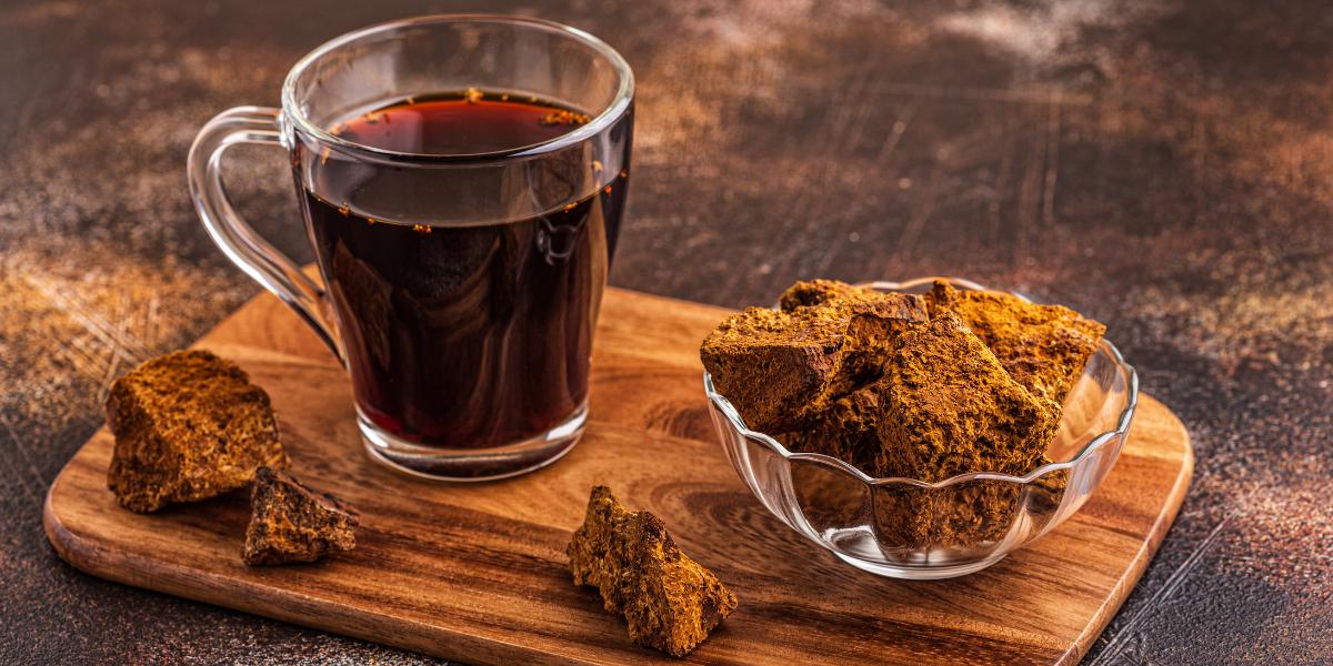 Chaga Mushrooms and Their Extraordinary Benefits