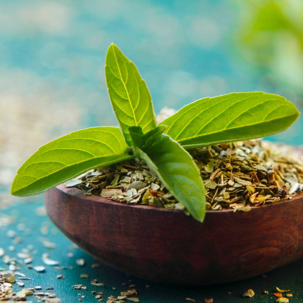 Tulsi For Memory and Cognitive Function
