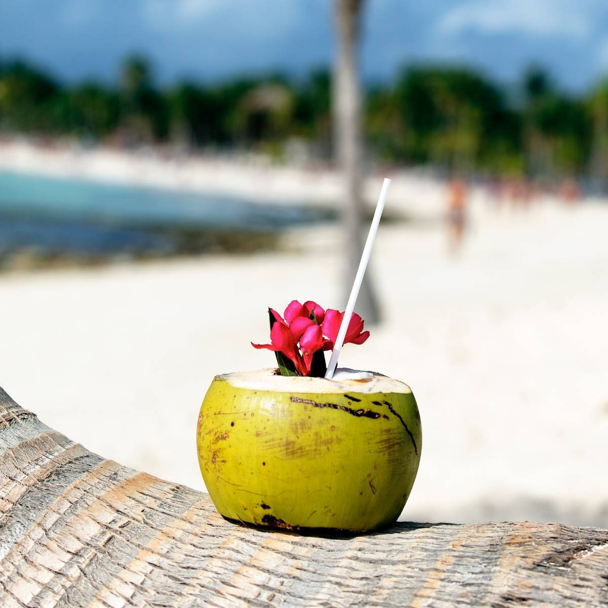 Best Beach Drinks Without Hangover