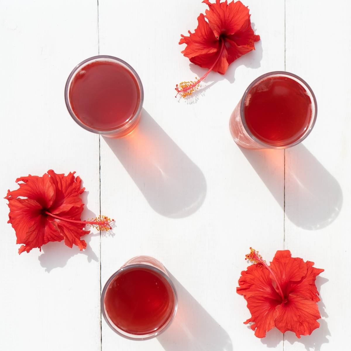 Hibiscus Water For High Blood Pressure