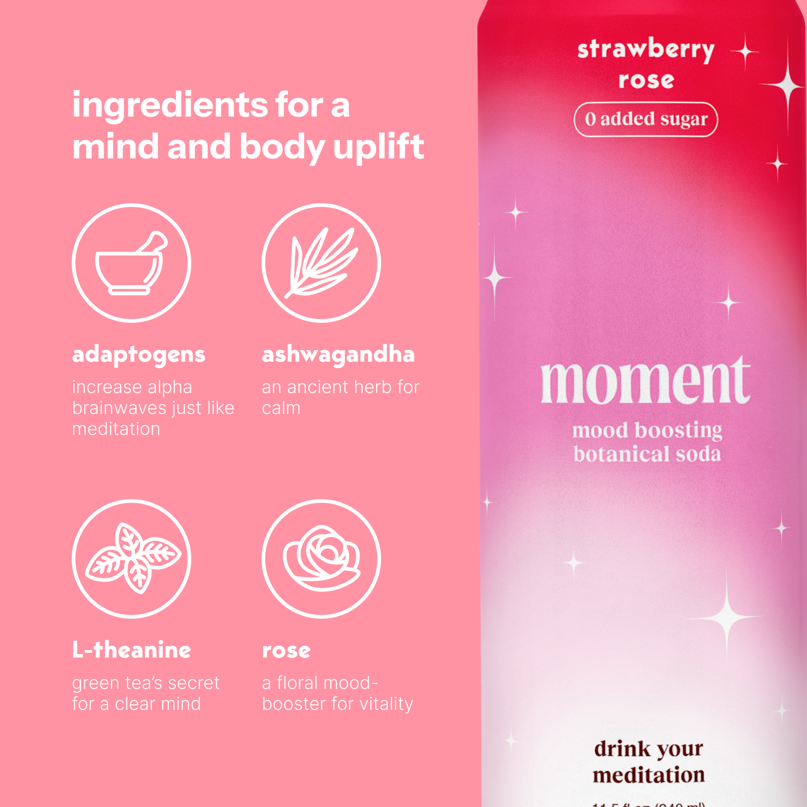 strawberry rose (botanical soda | 12 pack)