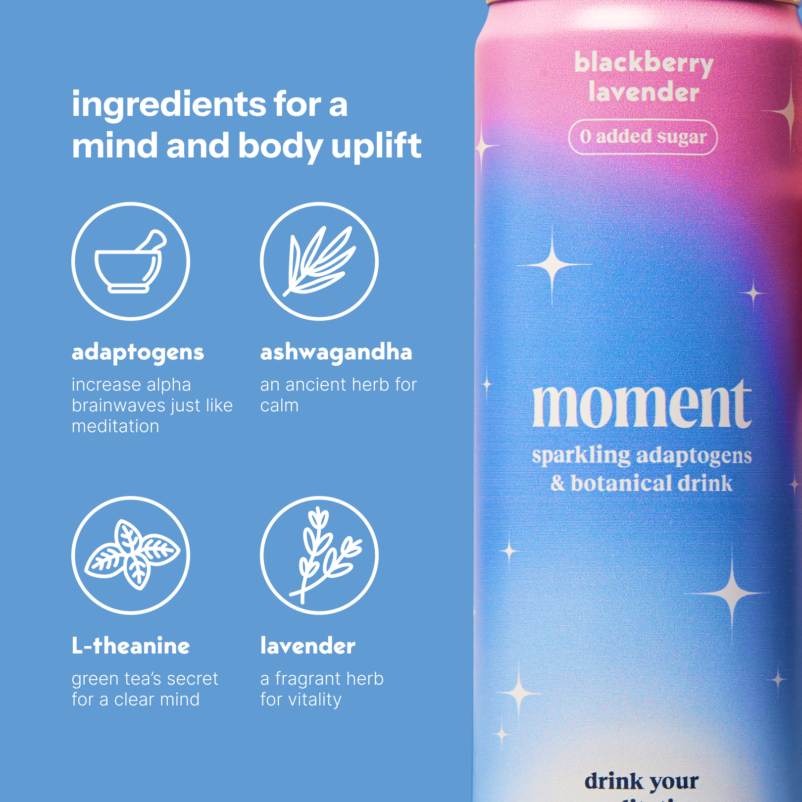 blackberry lavender (botanical soda | 12 pack)