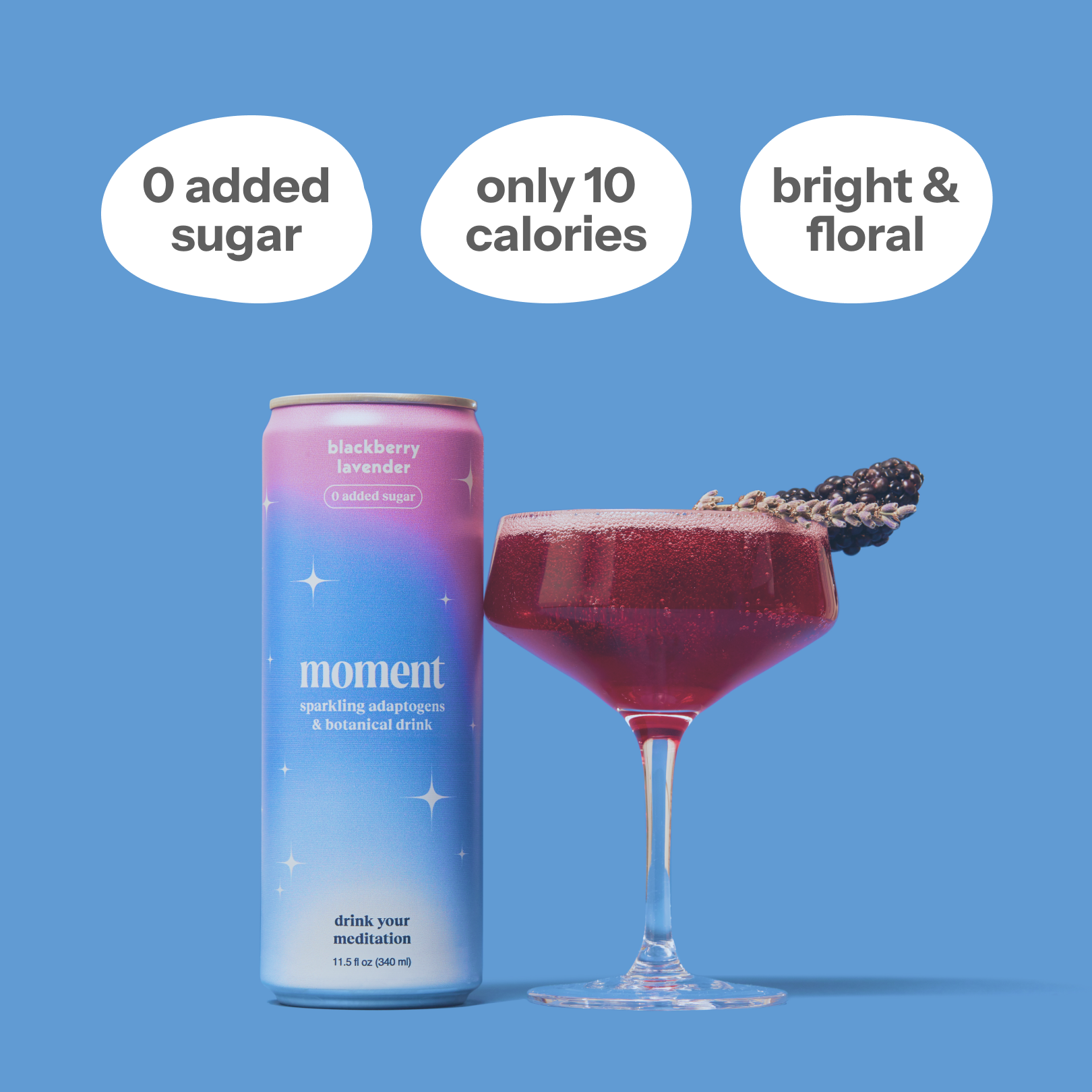 blackberry lavender (botanical soda | 12 pack)