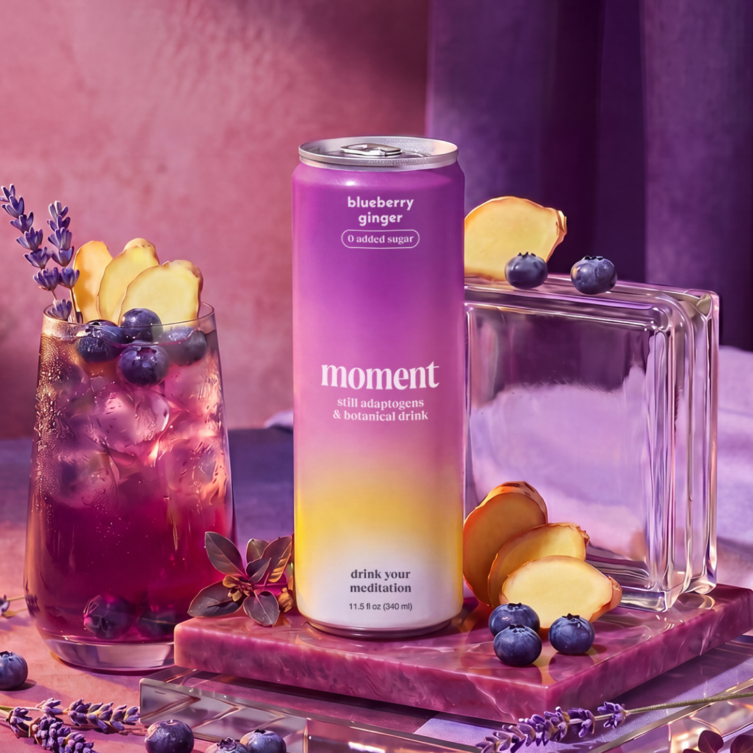 blueberry ginger (botanical tea | 12 pack)