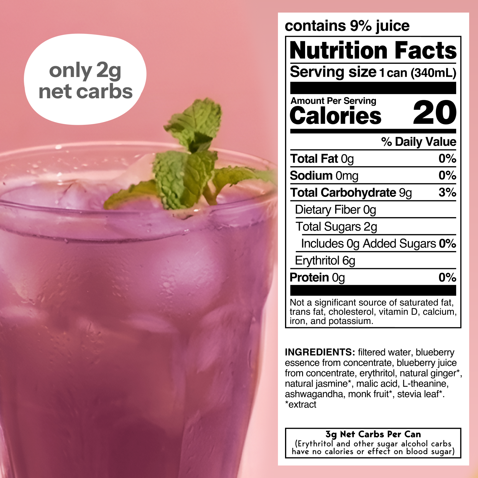 blueberry ginger (botanical tea | 12 pack)