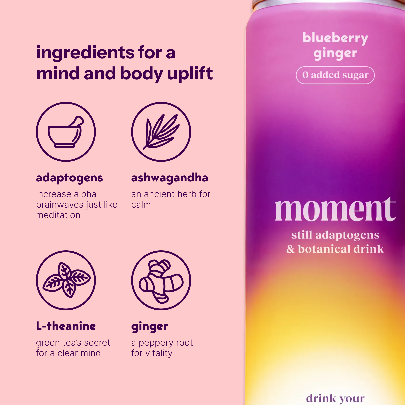 blueberry ginger (botanical tea | 12 pack)