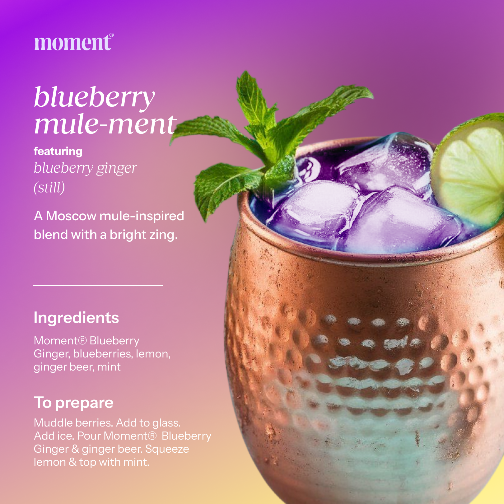 Recipe name: blueberry mule-ment
Featured Moment SKU: blueberry ginger (still)
Ingredients: Moment® Blueberry Ginger, blueberries, lemon, ginger beer, mint
Numbered prep steps: Muddle berries. Add to glass. Add ice. Pour Moment®  Blueberry Ginger & ginger beer. Squeeze lemon & top with mint.