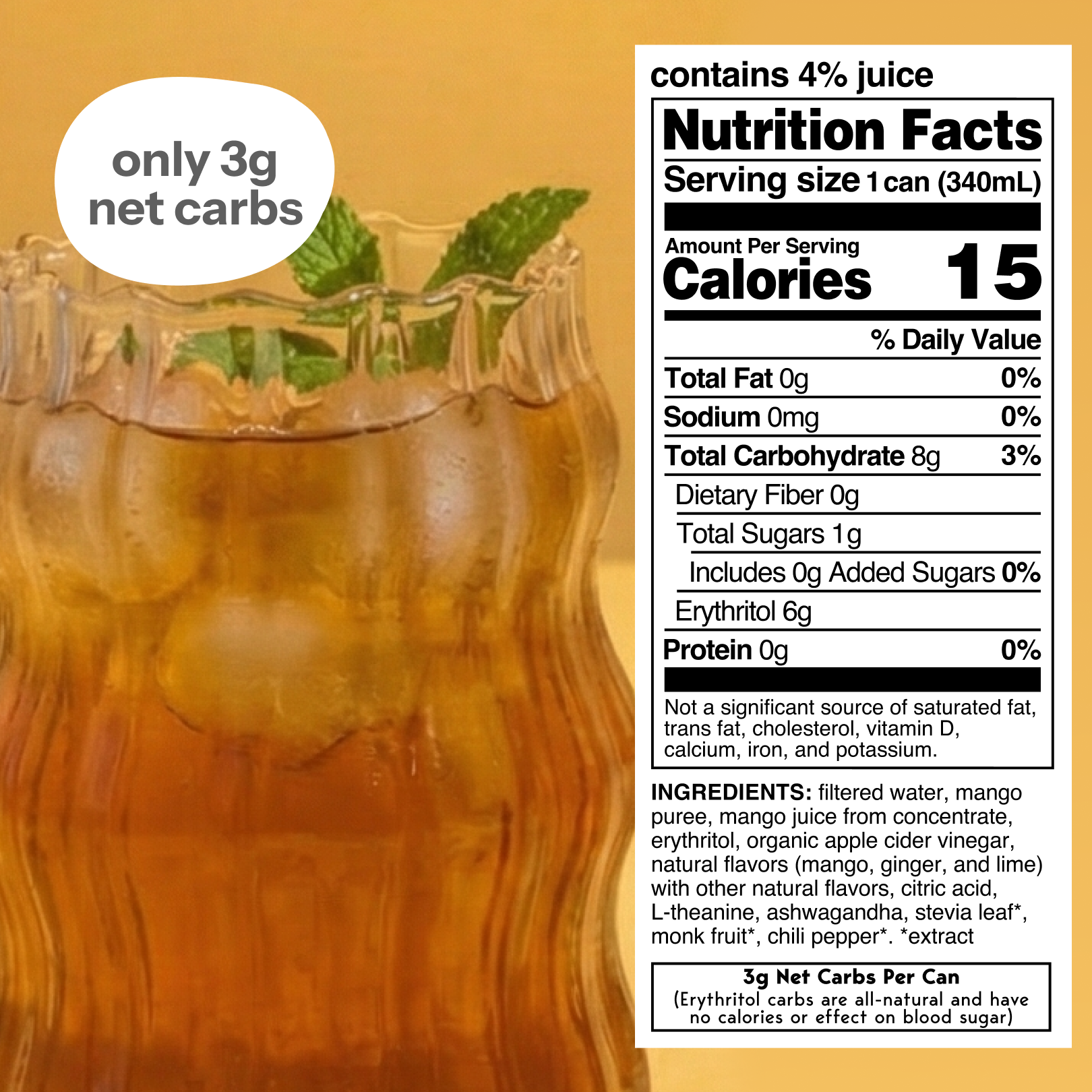 spiced mango (botanical tea | 12 pack)