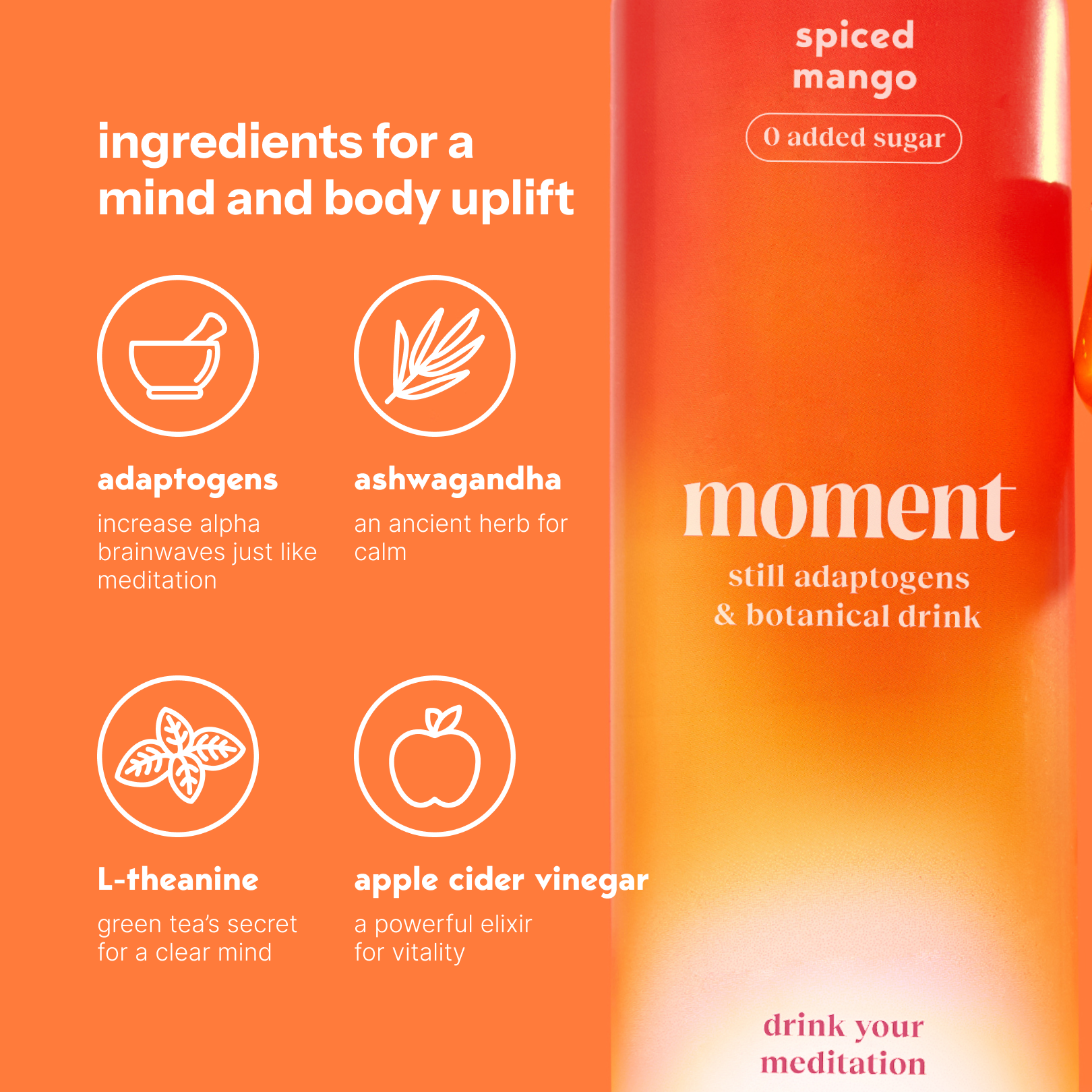 spiced mango (botanical tea | 12 pack)