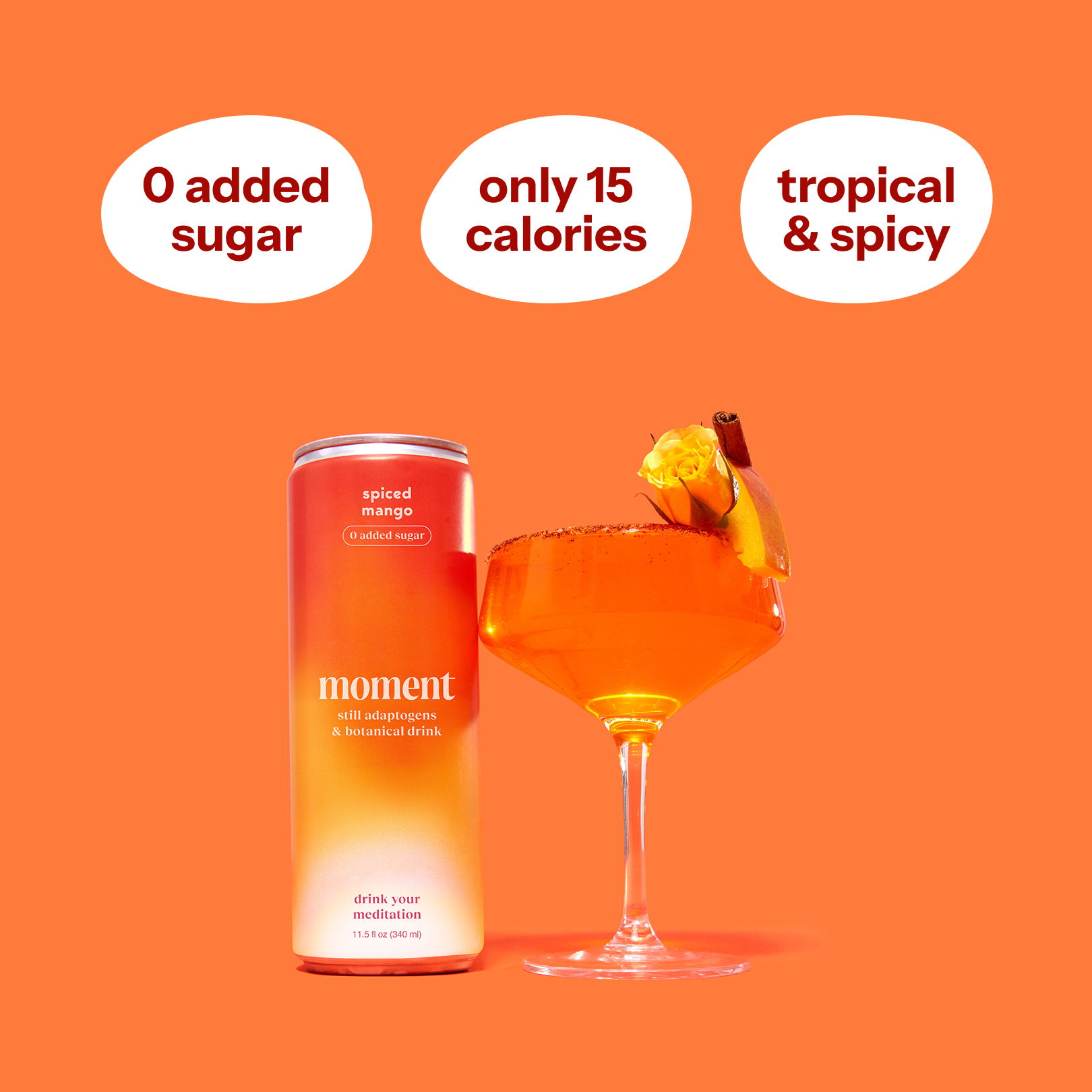 spiced mango (botanical tea | 12 pack)