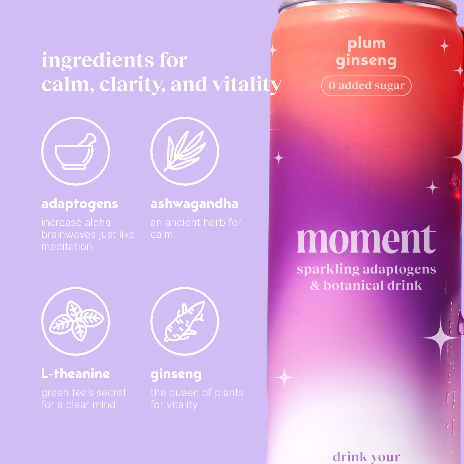 plum spritz (sparkling mocktail | 12 pack)