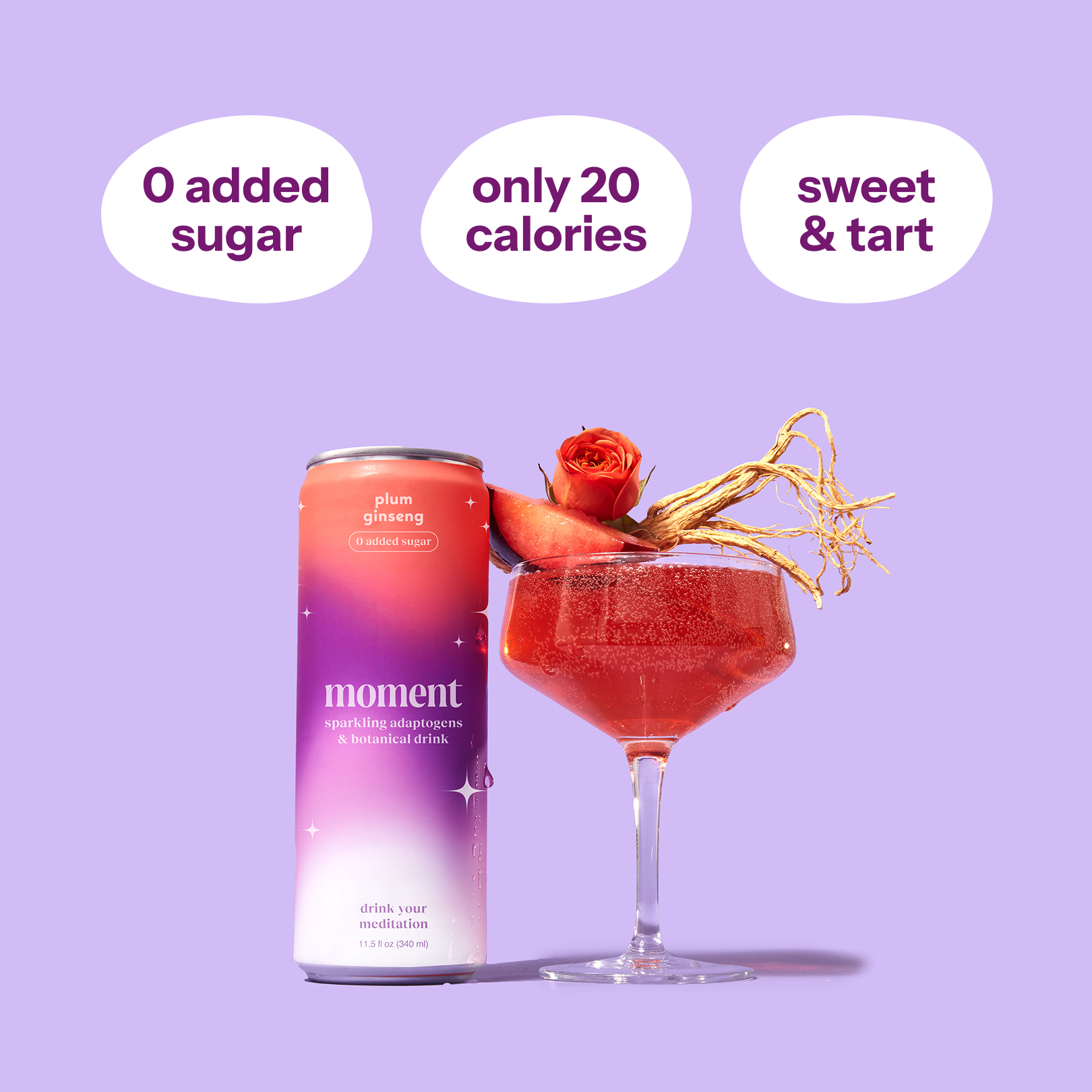 plum spritz (sparkling mocktail | 12 pack)