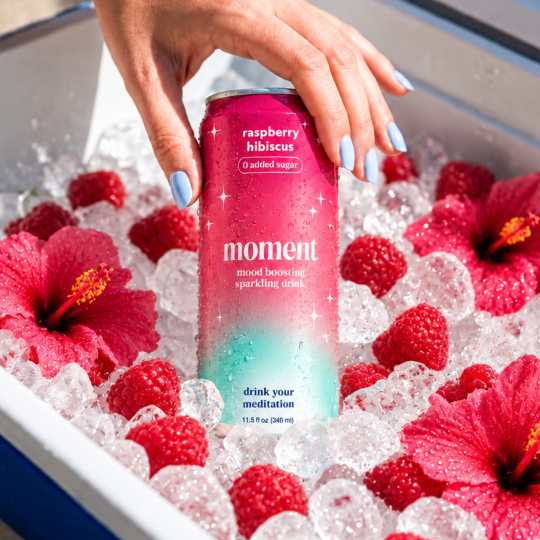 raspberry hibiscus (12 Pack)