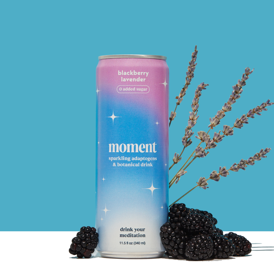 blackberry lavender (botanical soda | 24 pack)