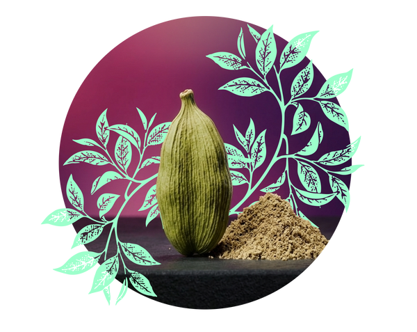 moment drink functional ingredient