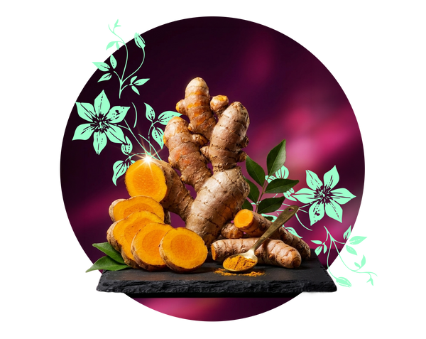 moment drink functional ingredient