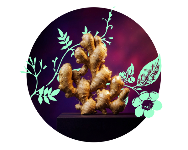 moment drink functional ingredient