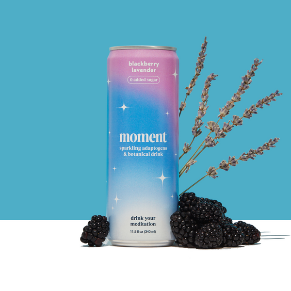 blackberry lavender (botanical soda | 12 pack)