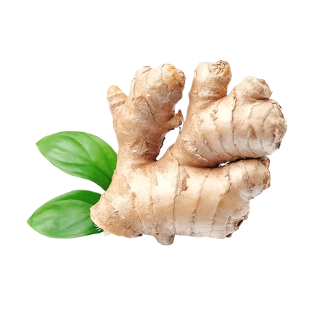 moment drink functional ingredient