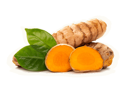 moment drink functional ingredient