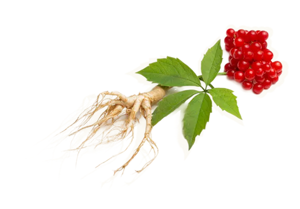 moment drink functional ingredient