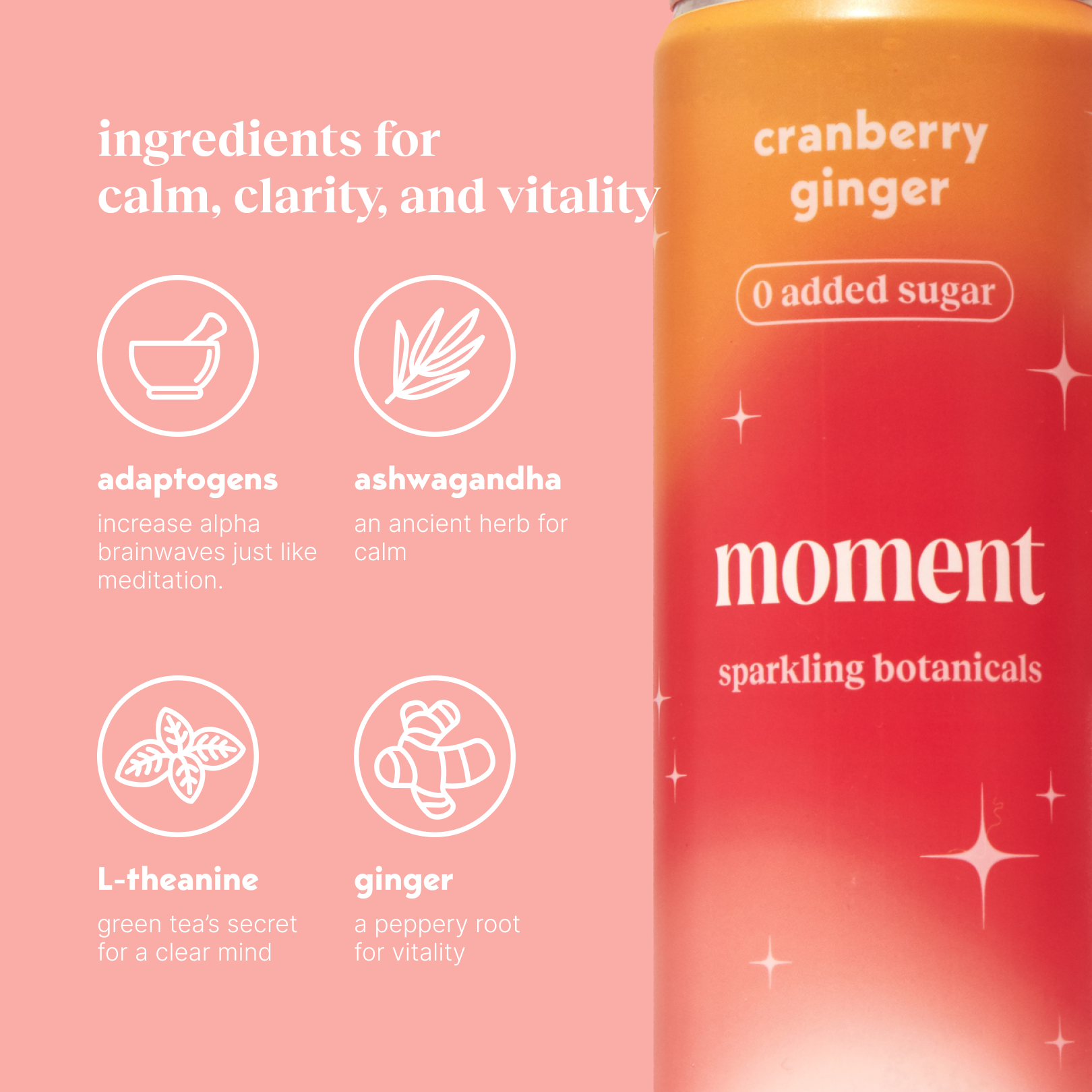 cranberry ginger (sparkling mocktail | 12 pack)