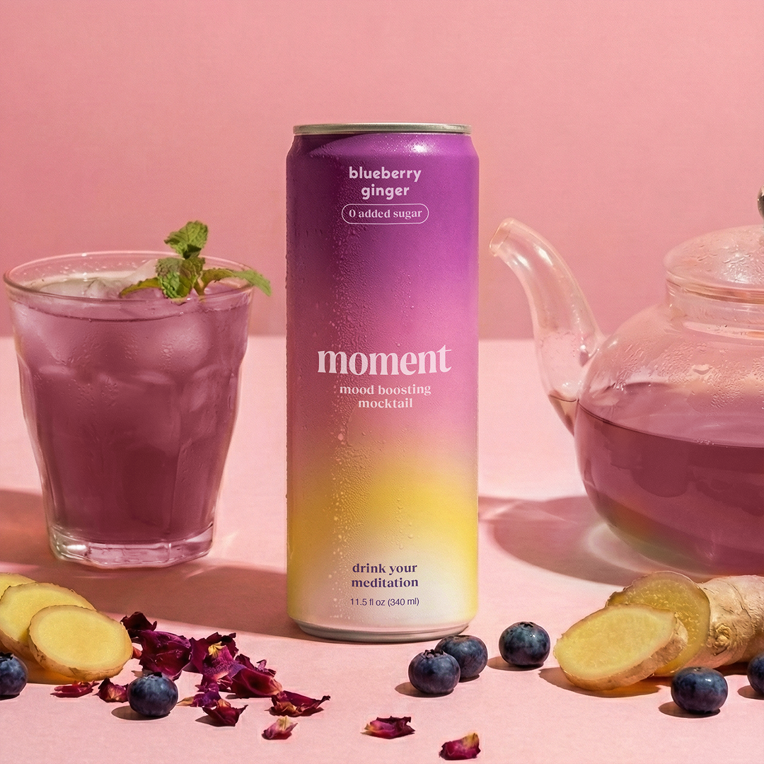 blueberry ginger (botanical tea | 12 pack)