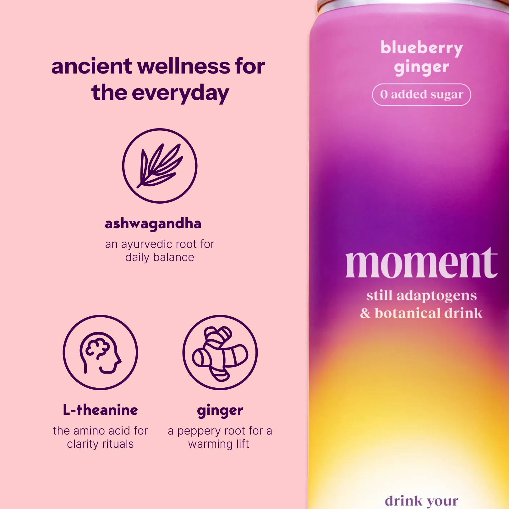 blueberry ginger (botanical tea | 24 pack)