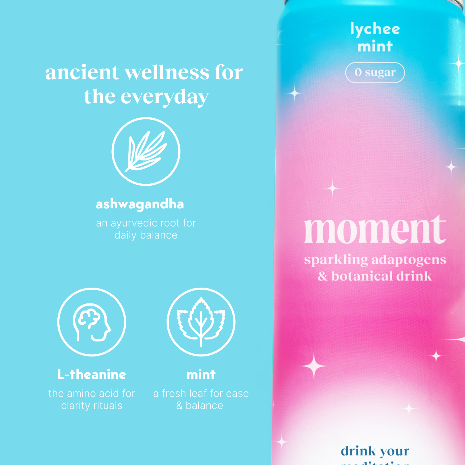 Lychee mint 24 pack (Wholesale)