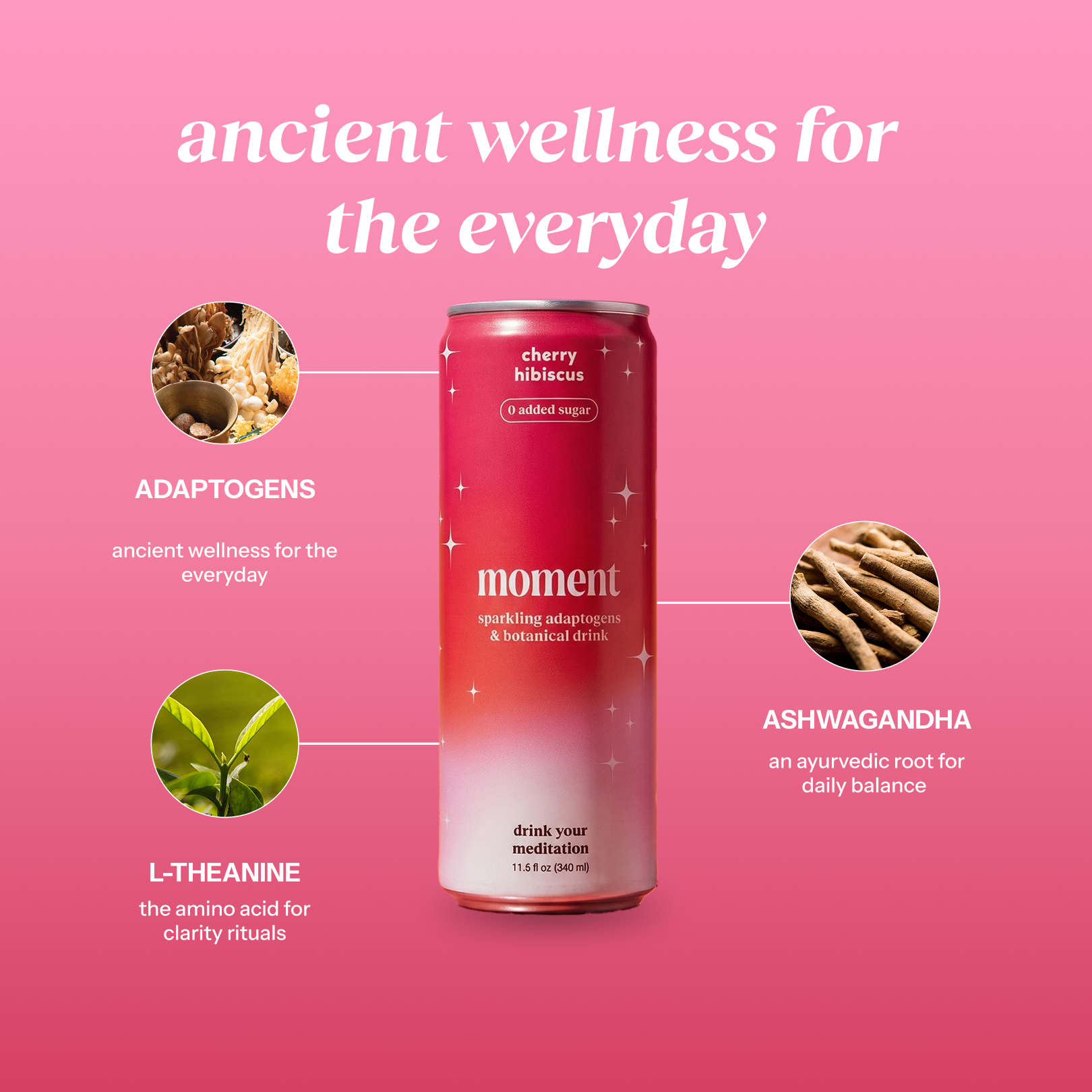a Pink Moment (24 Pack)