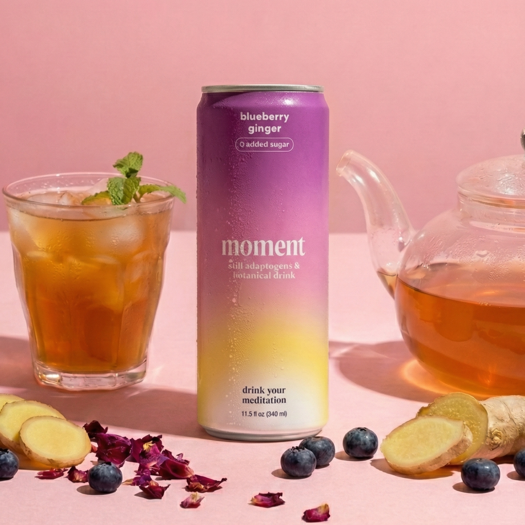 blueberry ginger (botanical tea | 12 pack)