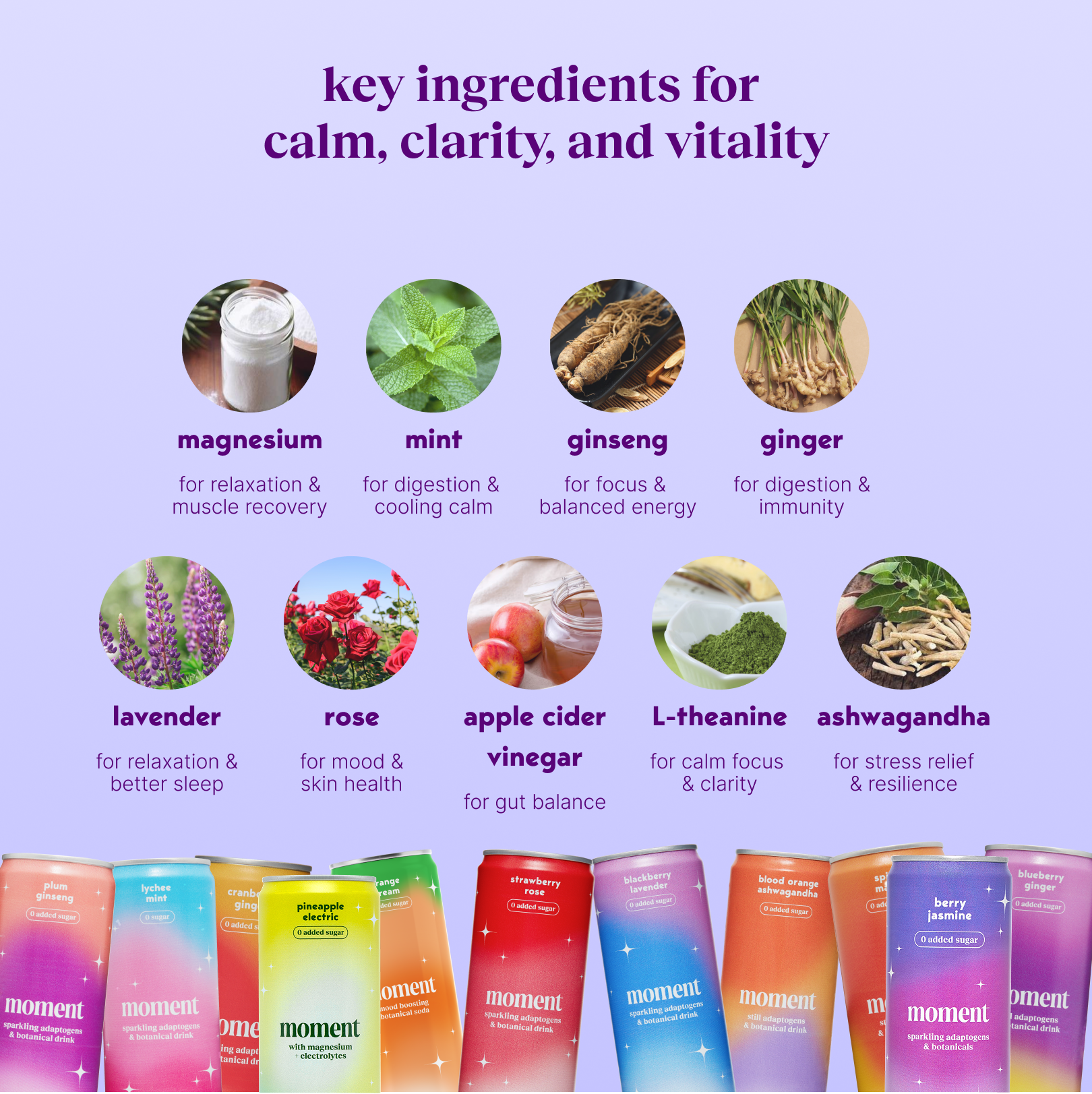 the super bowl starter pack