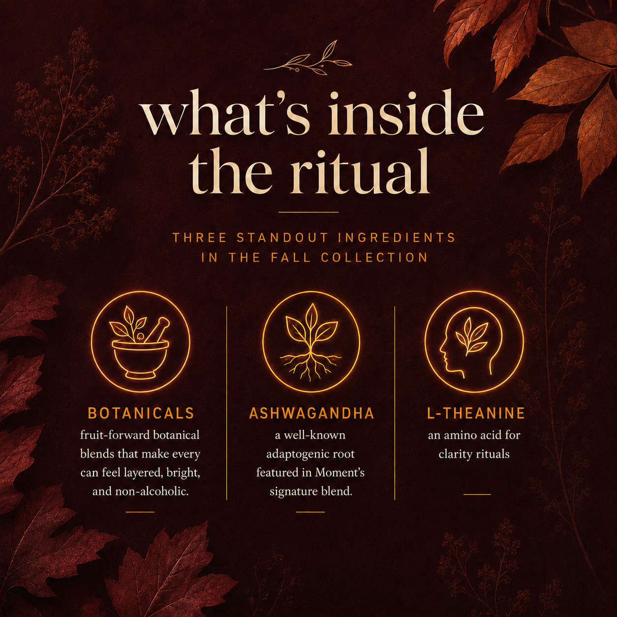 fall mood collection