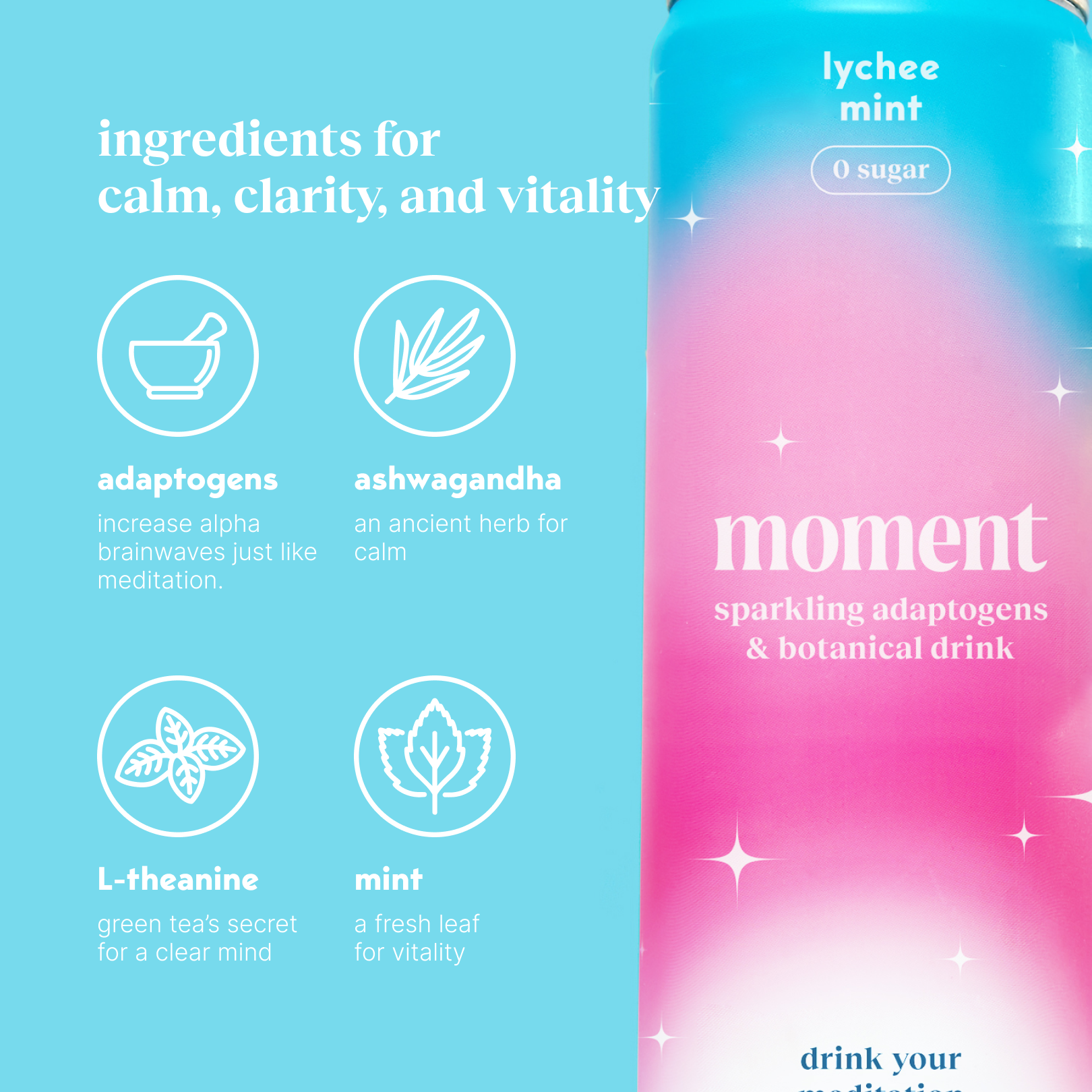 lychee mint (sparkling mocktail | 12 pack)