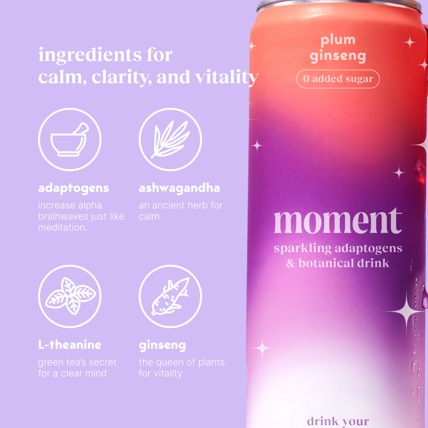 plum ginseng (sparkling mocktail | 12 pack)