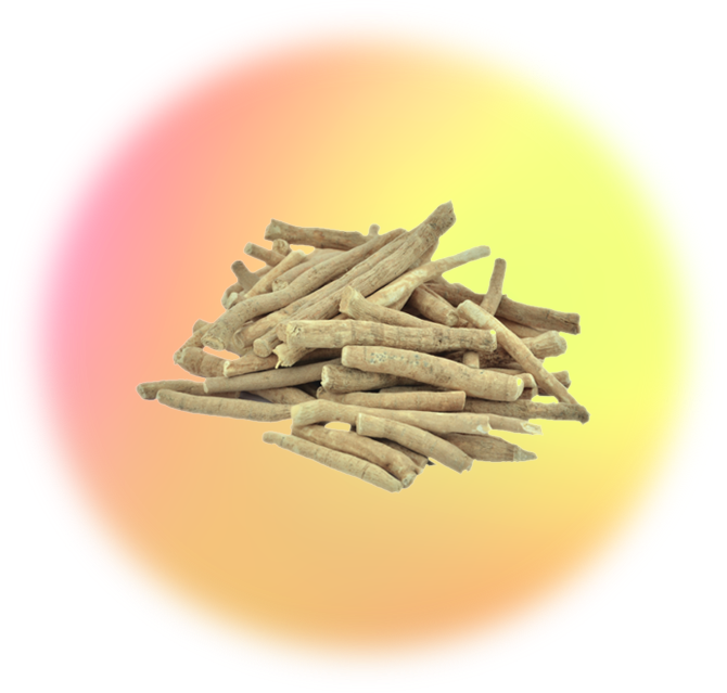 Pile of ashwagandha roots against a gradient yellow-pink background.