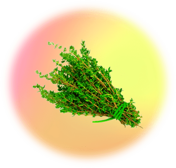 moment drink functional ingredient