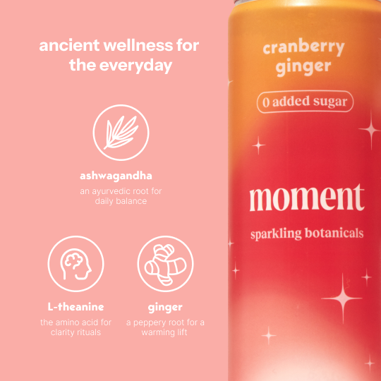 cranberry ginger (sparkling mocktail | 12 pack)